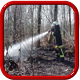 images/com_einsatzkomponente/images/list/brand_wald_flaechen.png#joomlaImage://local-images/com_einsatzkomponente/images/list/brand_wald_flaechen.png?width=80&height=80
